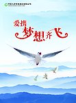 梦想齐飞
