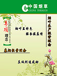 烟草公司制度海报