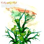 花纹