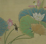 荷花 鹡鴒