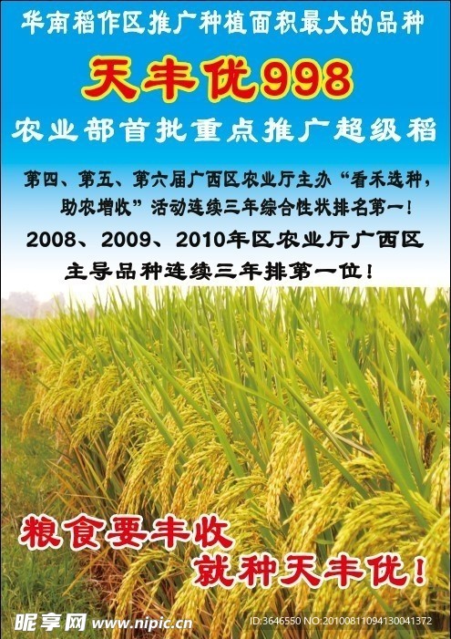 稻谷种子