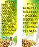 豆浆海报