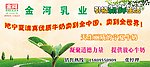 金河乳业