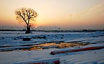 雪野