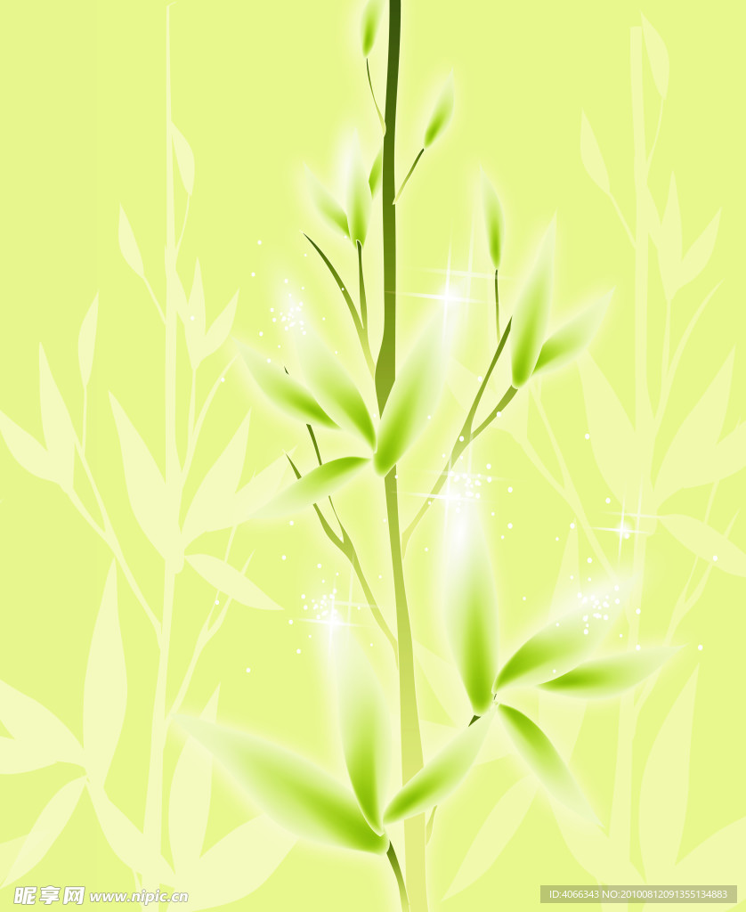 梦里那片林