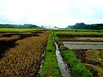 田园图片