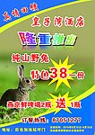 特色 野兔