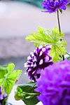 花艺欣赏