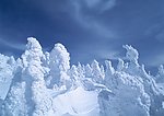 冬天雪景