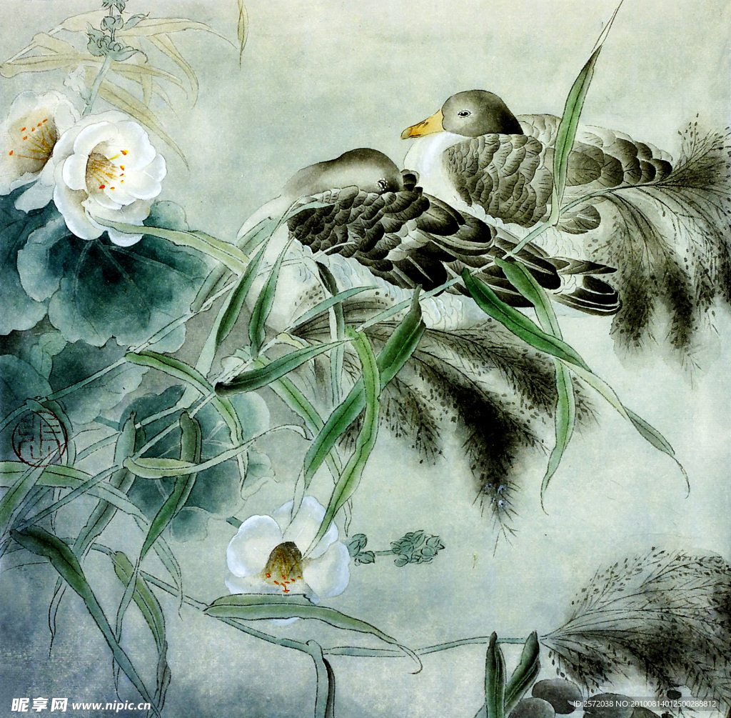 花鸟图