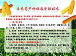 农业