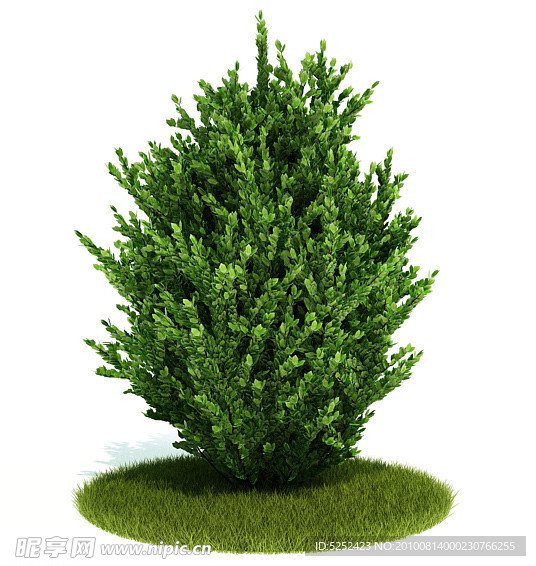 3D绿色灌木模型