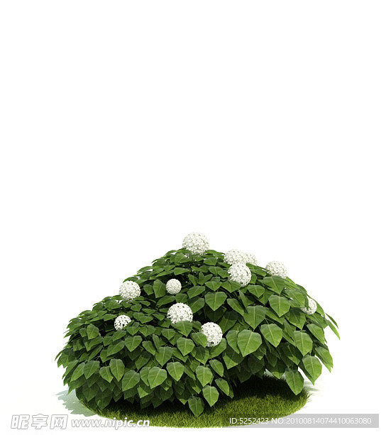 3D绿色植物模型