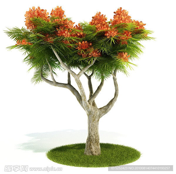 3D精美树木模型