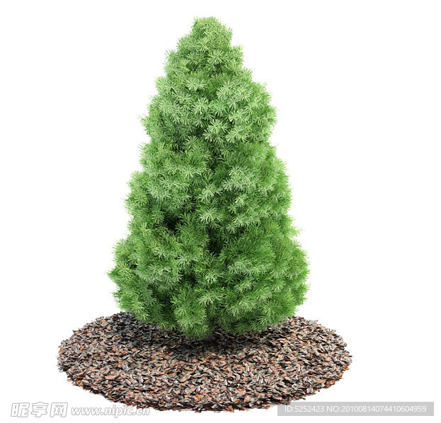 3D精美松树模型