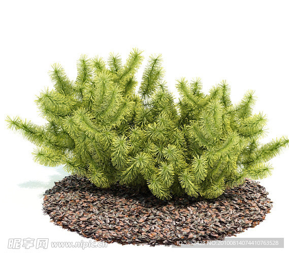 绿色植物三维模型