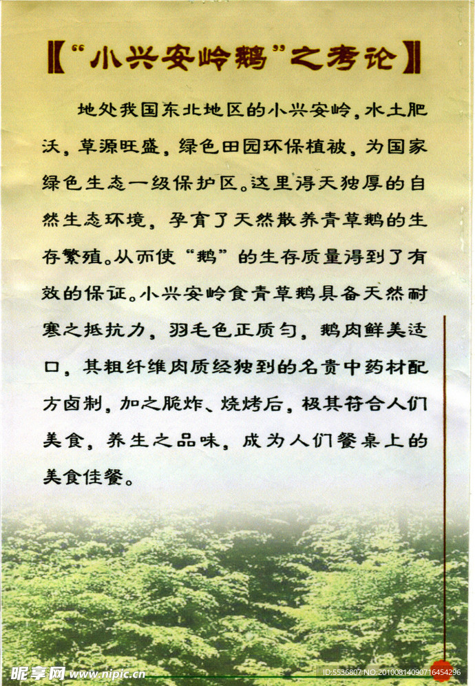 广告展板
