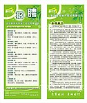 房地产招聘