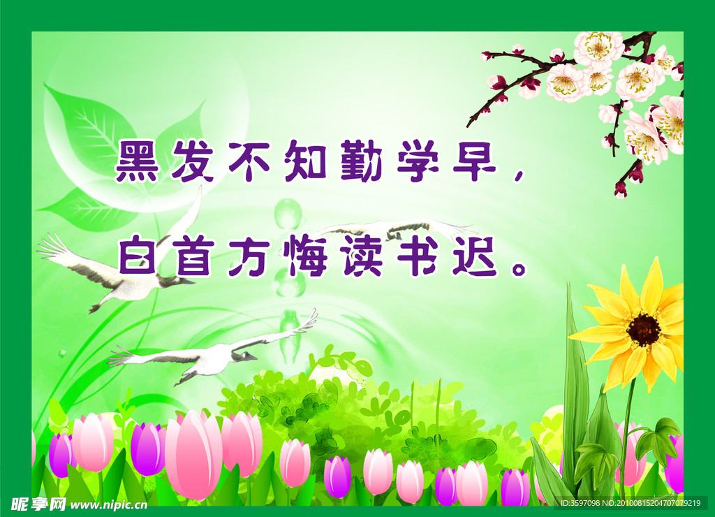 校园教育标语