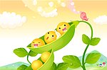 豌豆宝宝 移门