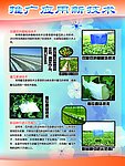 瓜州蜜瓜节 推广应用新技术
