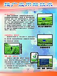 瓜州蜜瓜节 推广应用新技术