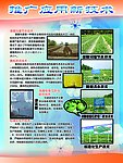 瓜州蜜瓜节