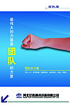 企业文化 团队篇