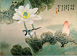 荷花图