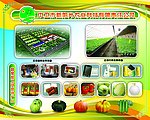 中卫市新阳光农业科技有限责任公司展板