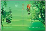 击水年华封面