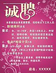 诚聘