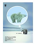 公益广告 北极熊