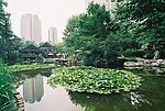 上海