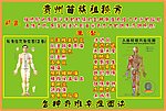 人体结构图 穴位图 秘方 草药