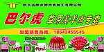巴尔虎