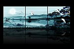 飞鸟仙鹤无框画设计