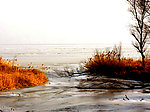 黄河 湿地 冬天