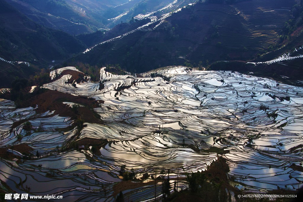 梯田旅游摄影