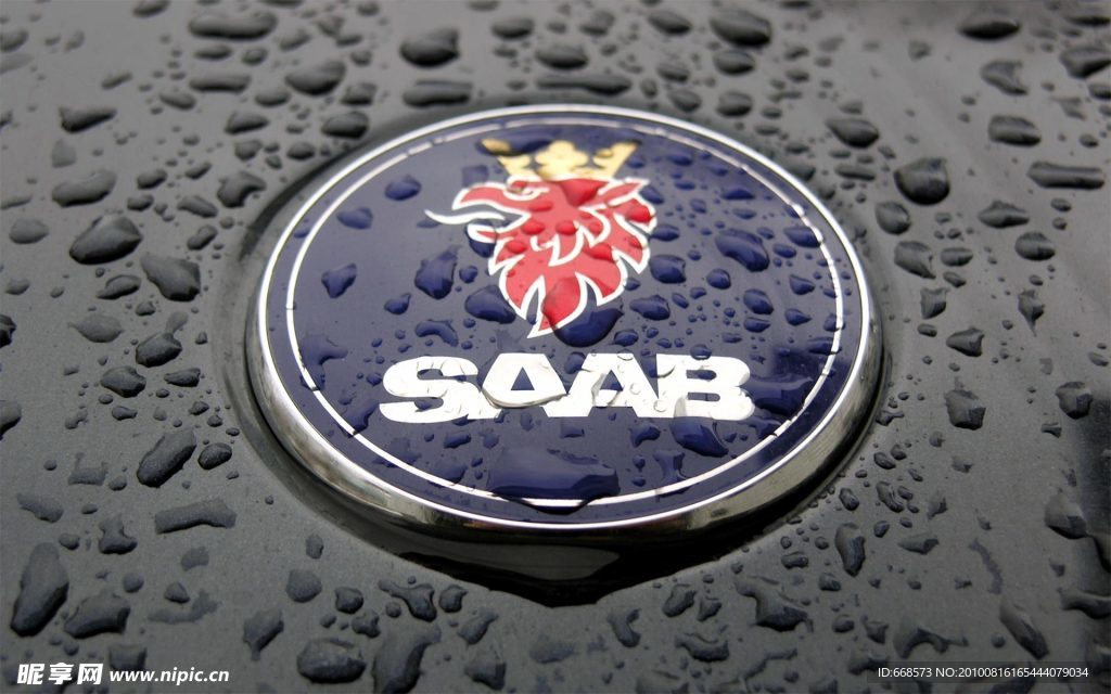 雨中的LOGO