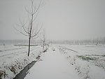 家乡的雪景