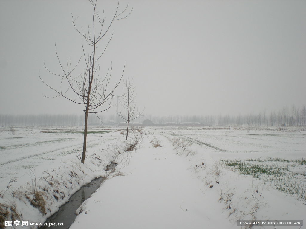 家乡的雪景