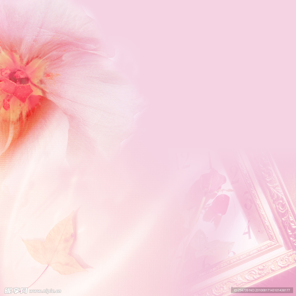 粉红花朵背景