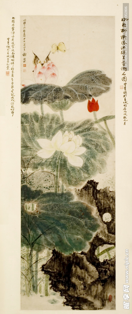 谢稚柳 花鸟 国画