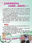 磨脚石