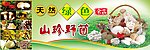 野生菇菌海报