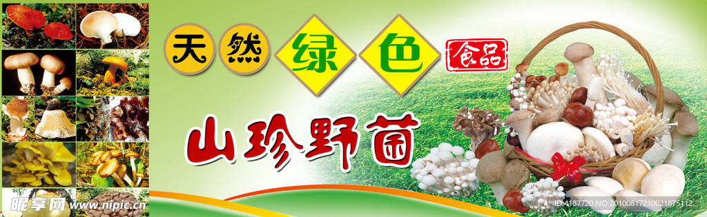野生菇菌海报
