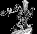 花鸟