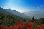 山川