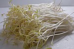 黄豆芽